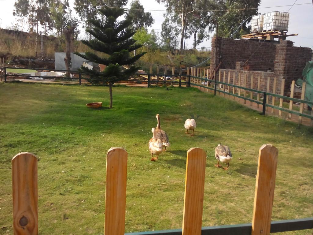 פנצ'גאני Strawberry Hills Resort מראה חיצוני תמונה